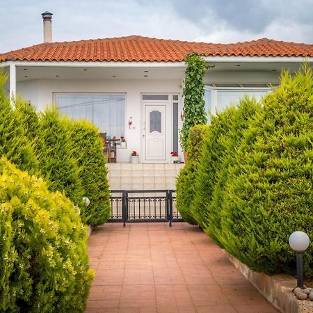 Vineyard Country House With Panoramic Seaview Alexandroúpoli Extérieur photo