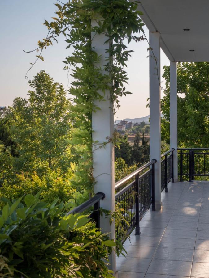 Vineyard Country House With Panoramic Seaview Alexandroúpoli Extérieur photo