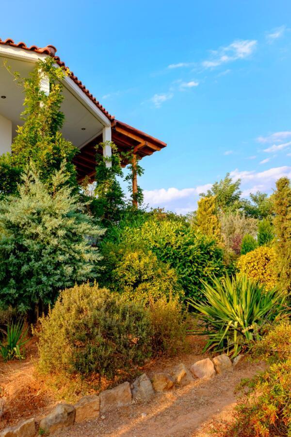 Vineyard Country House With Panoramic Seaview Alexandroúpoli Extérieur photo