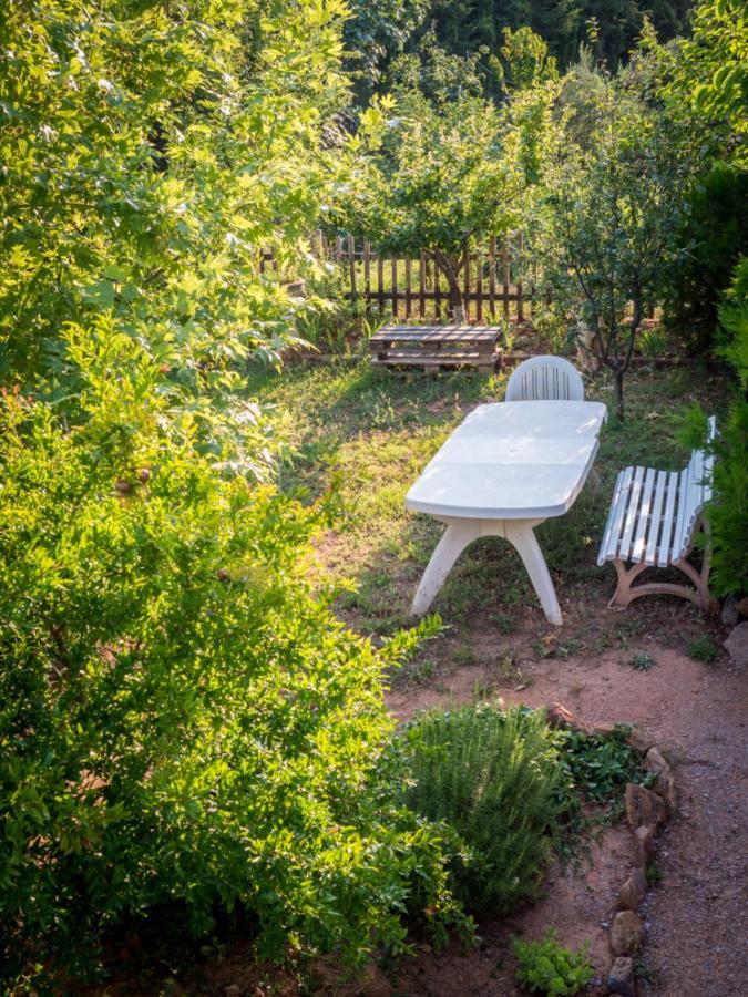 Vineyard Country House With Panoramic Seaview Alexandroúpoli Extérieur photo