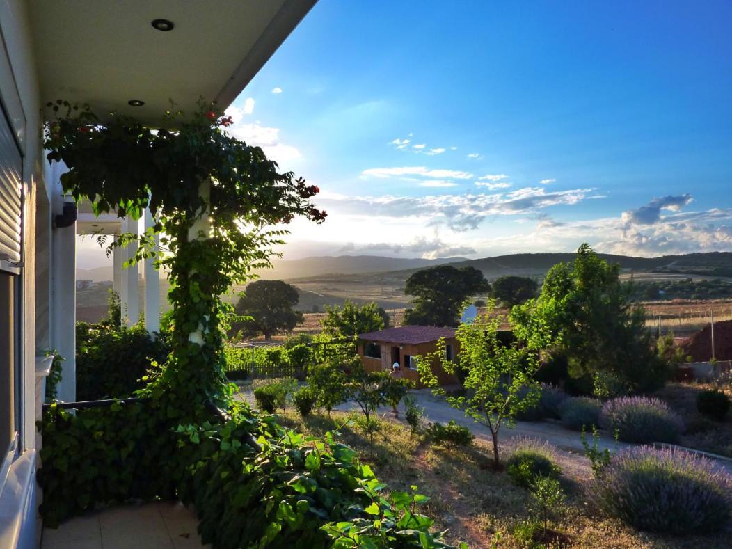 Vineyard Country House With Panoramic Seaview Alexandroúpoli Extérieur photo